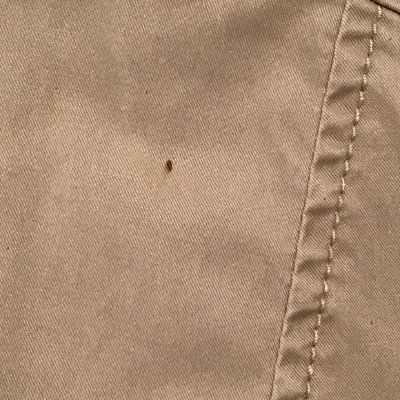 EIleen Fisher Ruffle Collar Utility Jacket - Picture 13 of 16